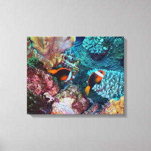 Toile Belle barrière de corail avec poissons