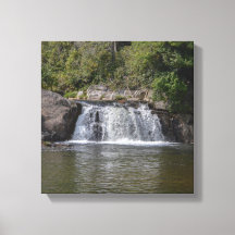 Belle Cascade Dans Les Montagnes Appalaches