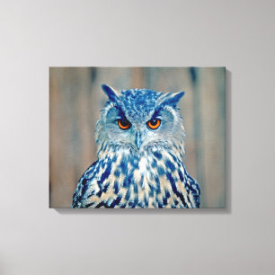 Toile Belle Chouette Raptor Oumu Bleue