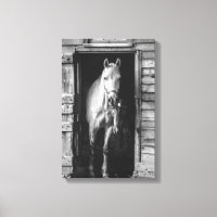 Belle ferme de chevaux Animaux B&W