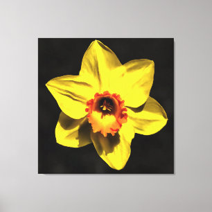 Toile Belle Fleur De Ressort Jaune Daffodil Sur Gris