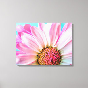 Toile Belle Fleur rose Gros plan Photo