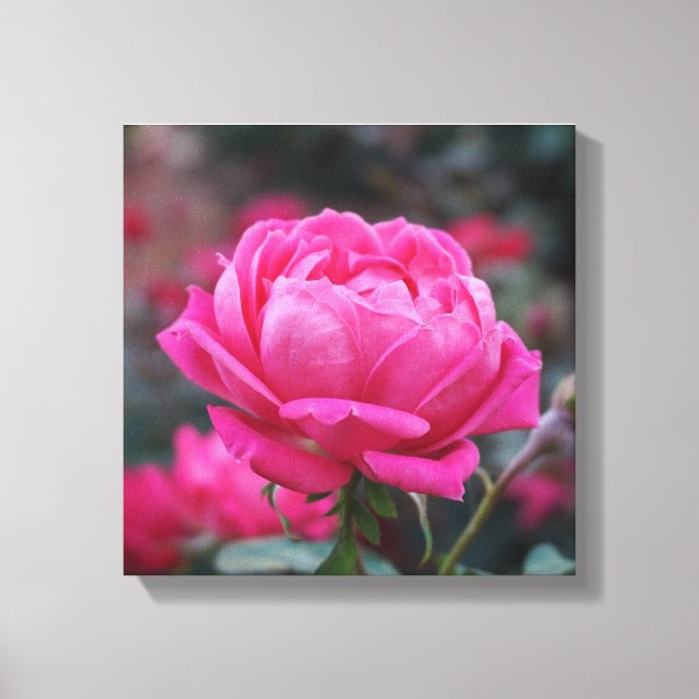 Toile Belle Fleur Rose Rose (Recto)