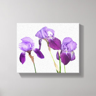 Toile Belle iris violet fleurs fleuris art floral