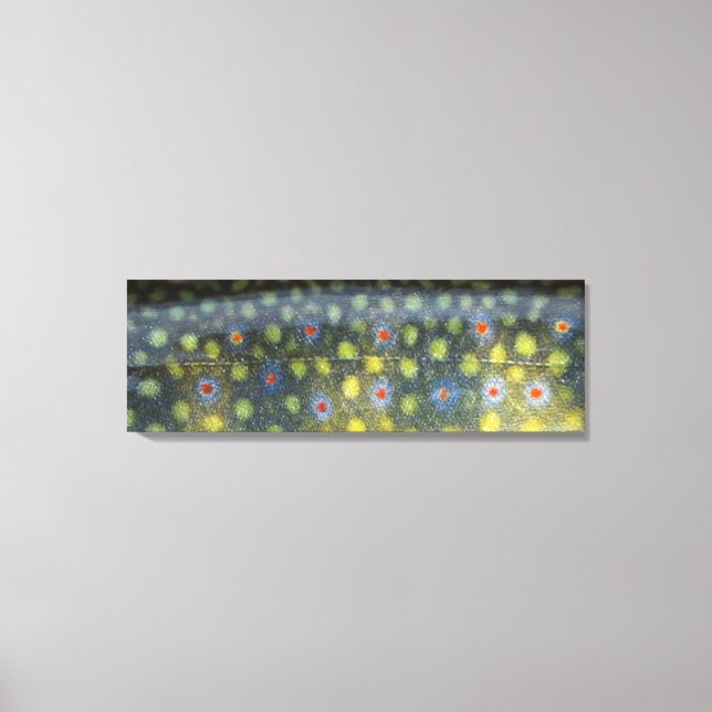 Toile Belle peau, Jordan River Brookie" (Recto)