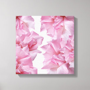 Toile Belle rose rose rose pétale florale abstrait