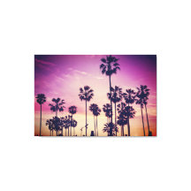 Belle Sunset Palm Tree Beach Vibe