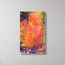 Toile Belles couleurs automnales 2