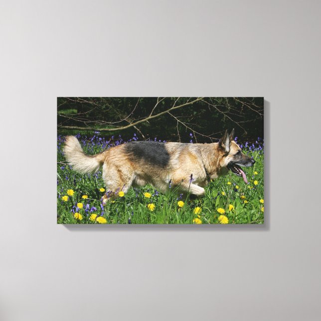 Toile Berger allemand en fleurs jaunes (Recto)