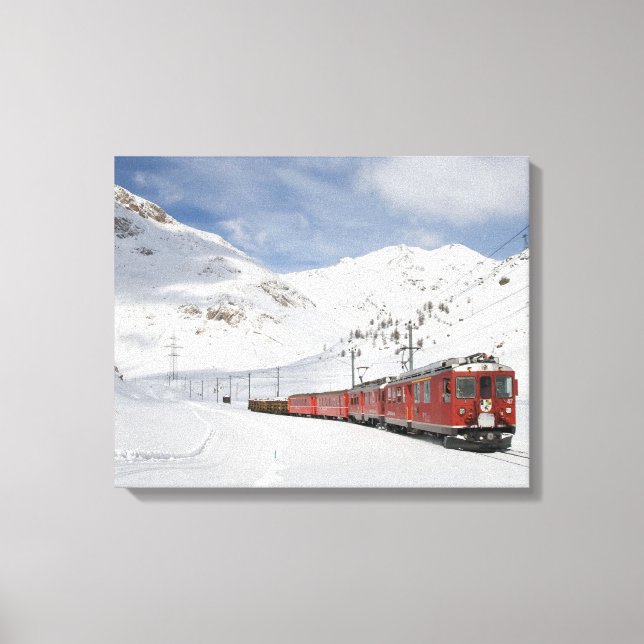 Toile Bernina (Recto)