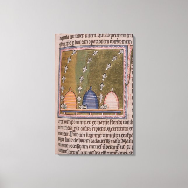 Toile Bestiaire Trois lignes courbes (Recto)