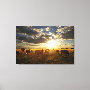 Toile Bétail dans le domaine, coucher du soleil