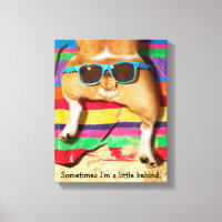 Beurre de chien avec lunettes de soleil
