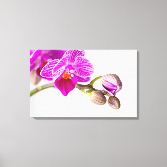 Toile Bezaubernde Orchidee - Glücksgefühle frei Haus ! (Recto)