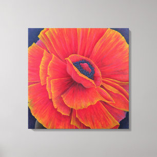 Toile Big Poppy 2003