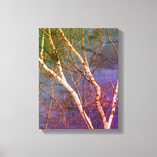 Toile Birch Tree blanc contre le ciel bleu nature Abstra (Recto)