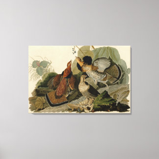 Toile Bird, Amérique, Ruffed Grouse, Audubon, Canvas