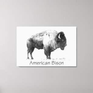 Toile Bison américain