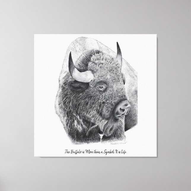 Toile Bison d'Amérique (Recto)