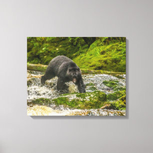 Toile Black Bear Fishing Qua Creek Colombie-Britanniqu