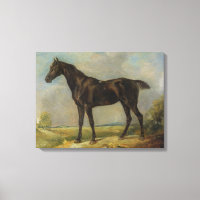 Black Riding-Horse du gendarme du Golding, vers 18