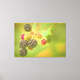 Toile "Blackberries Fruit Plante" Photo mignonne. Comman