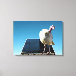 Toile Blanc Turquie Dimensionner l'Art Popout,