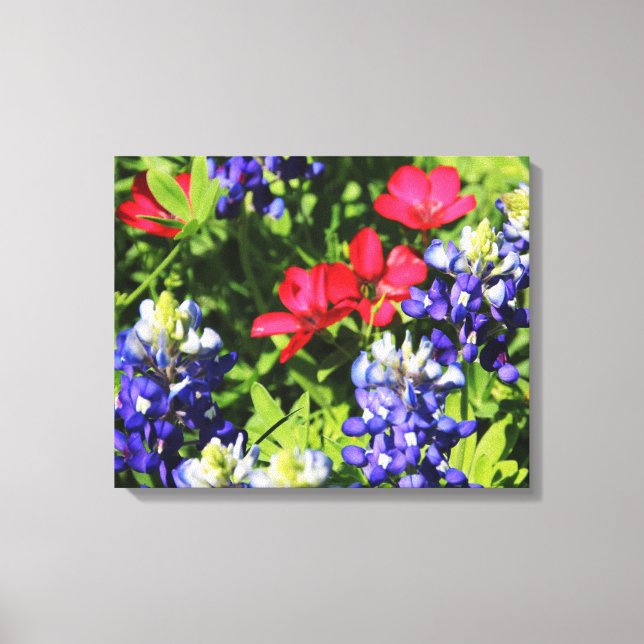 Toile Bluebonnets (Recto)