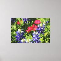 Bluebonnets