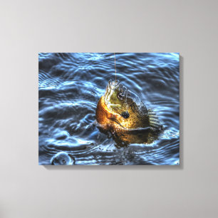 Toile Bluegill Sunfish Fisherman's Outdoor Sports Art