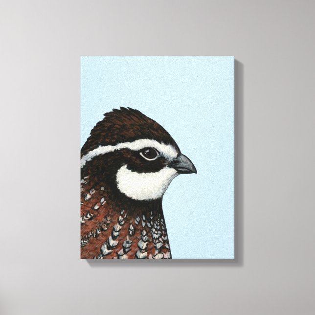 Toile Bobwhite Quail Head (Recto)