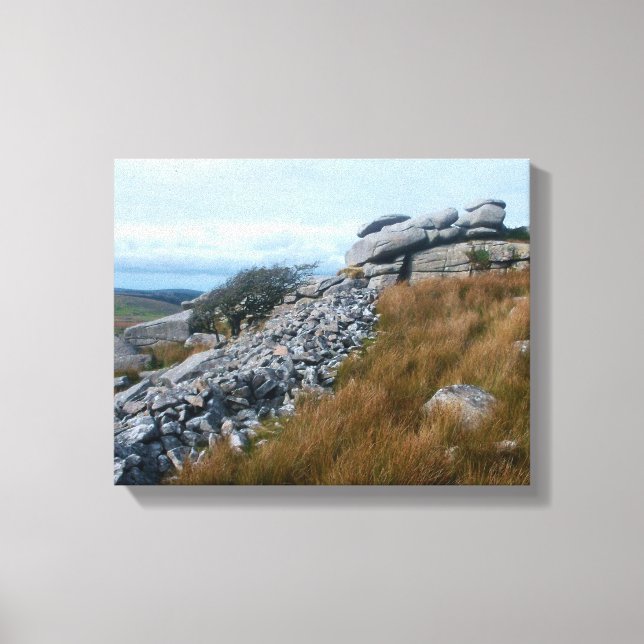 Toile Bodmin Moor Cornwall Angleterre (Recto)