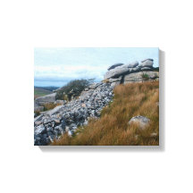 Bodmin Moor Cornwall Angleterre