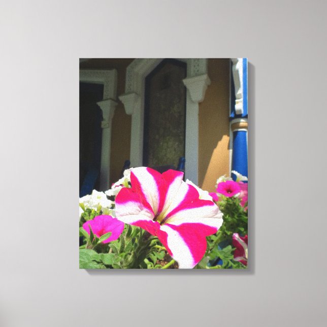 Toile Boite à fleurs - Martha's Vineyard (Recto)