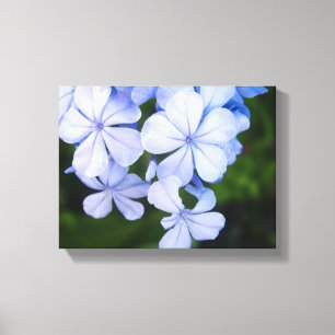 Toile Bokeh Floral Bleu