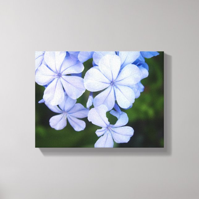 Toile Bokeh Floral Bleu (Recto)