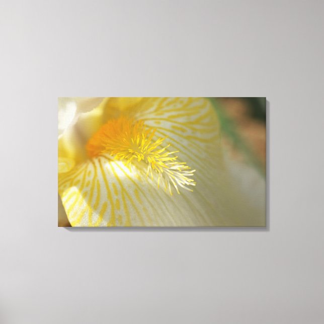 Toile Bonjour Iris ! (Recto)