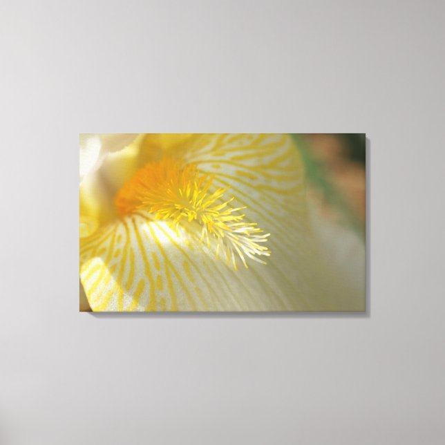 Toile Bonjour Iris ! (Recto)