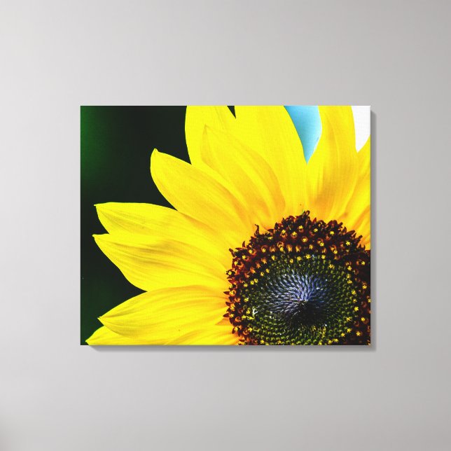 Toile Bonjour Sunshine Sunflower (Recto)