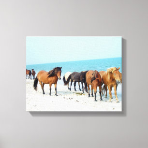 Toile Bord de mer national le Maryland d'Assateague de