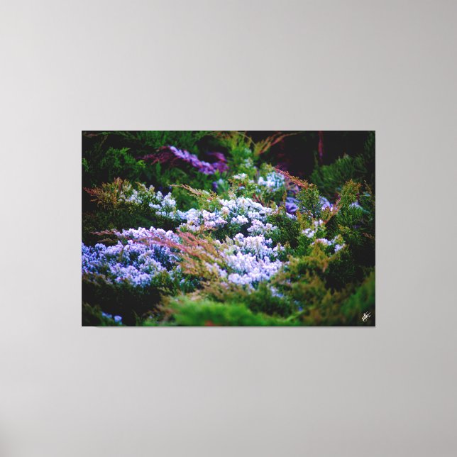 Toile Bord d'eau de Langley #5 (Recto)