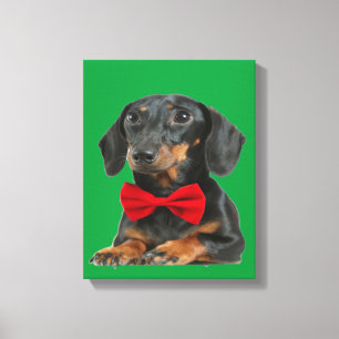 Toile Bordure noire Collie Puppy