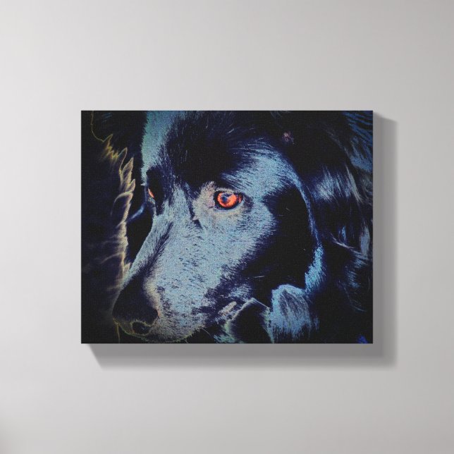 Toile Bordure noire Collie Visage de chien (Recto)