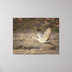 Toile Bosque del Apache NWR