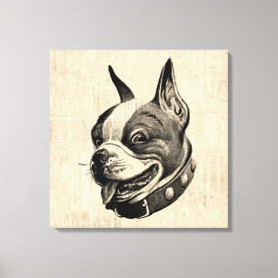 Toile Boston Terrier Chien adorable Chien animal de comp