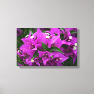 Toile Bougainvillées violettes