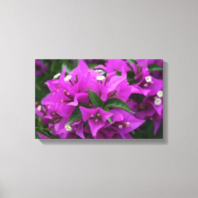 Toile Bougainvillées violettes (Recto)