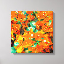 Bougainvilliers orange vif