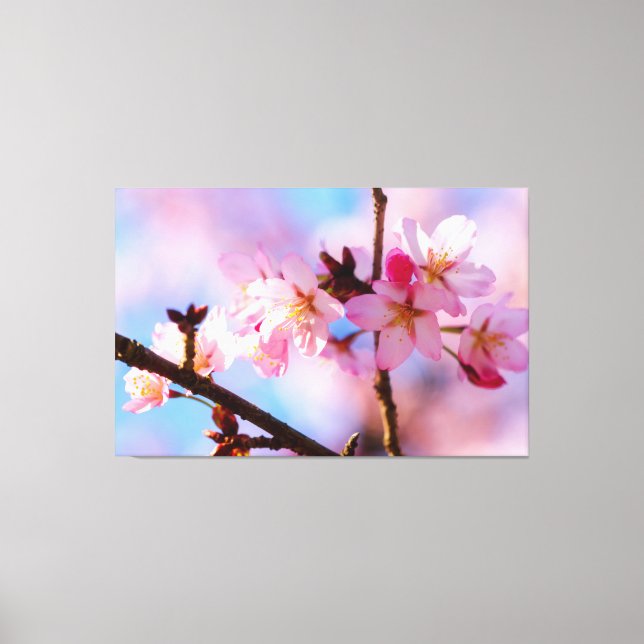 Toile Bouquet de fleurs de sakura dans l'ombre d'un arbr (Recto)