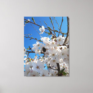 Toile Bourdon sur la floraison de cerisier sauvage